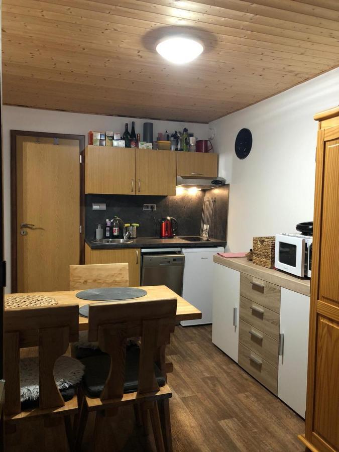 Apartman S Vyhledem Na Jezerni Stenu Zelezna Ruda Exterior photo
