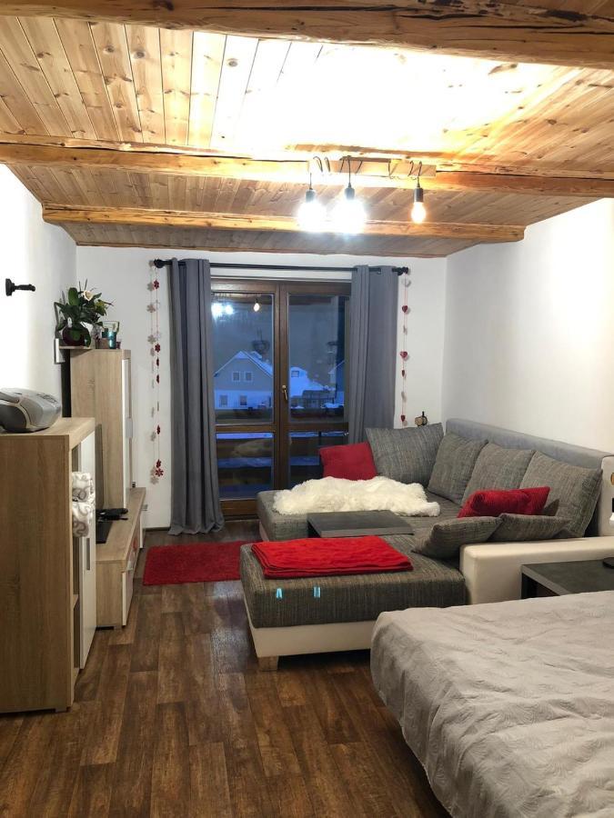 Apartman S Vyhledem Na Jezerni Stenu Zelezna Ruda Exterior photo