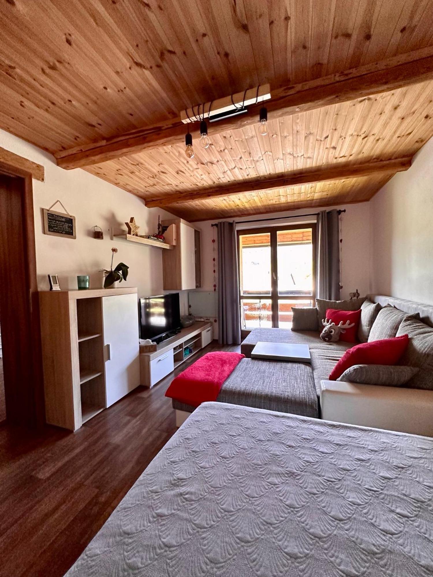 Apartman S Vyhledem Na Jezerni Stenu Zelezna Ruda Exterior photo